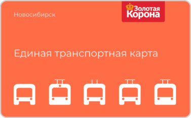 card-5